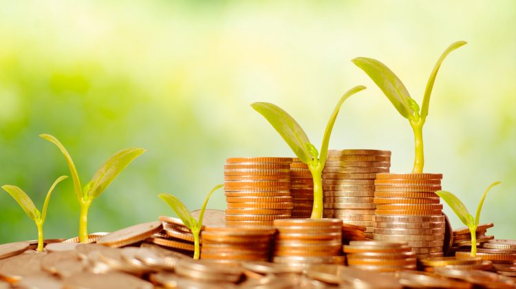 Geld-groeien-economie-greenport-duin-en-bollenstreek