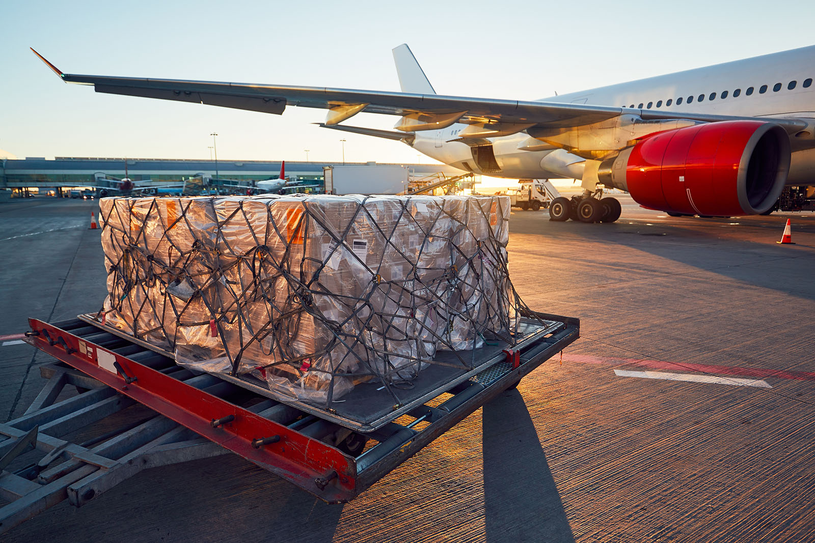 vrachtvervoer-vliegtuig-cargo-greenport-duin-en-bollenstreek