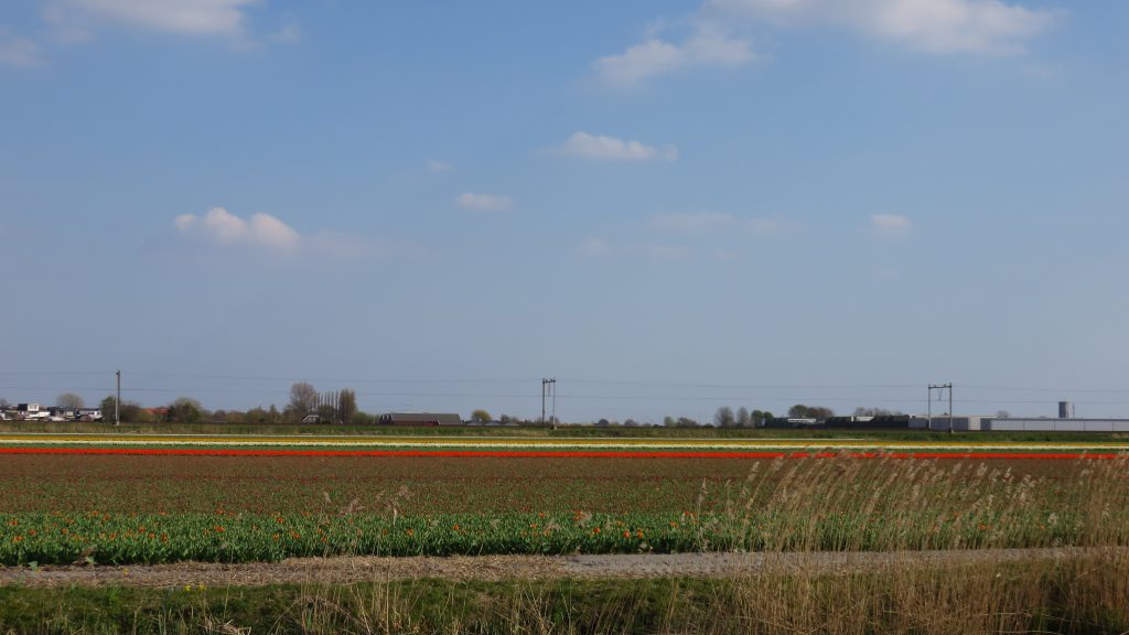 Landschap met trein
