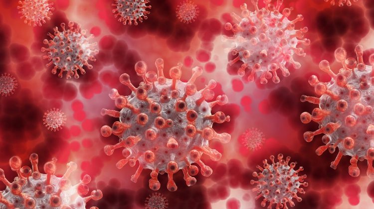 Corona-virus-covid-19-greenport-duin-en-bollenstreek