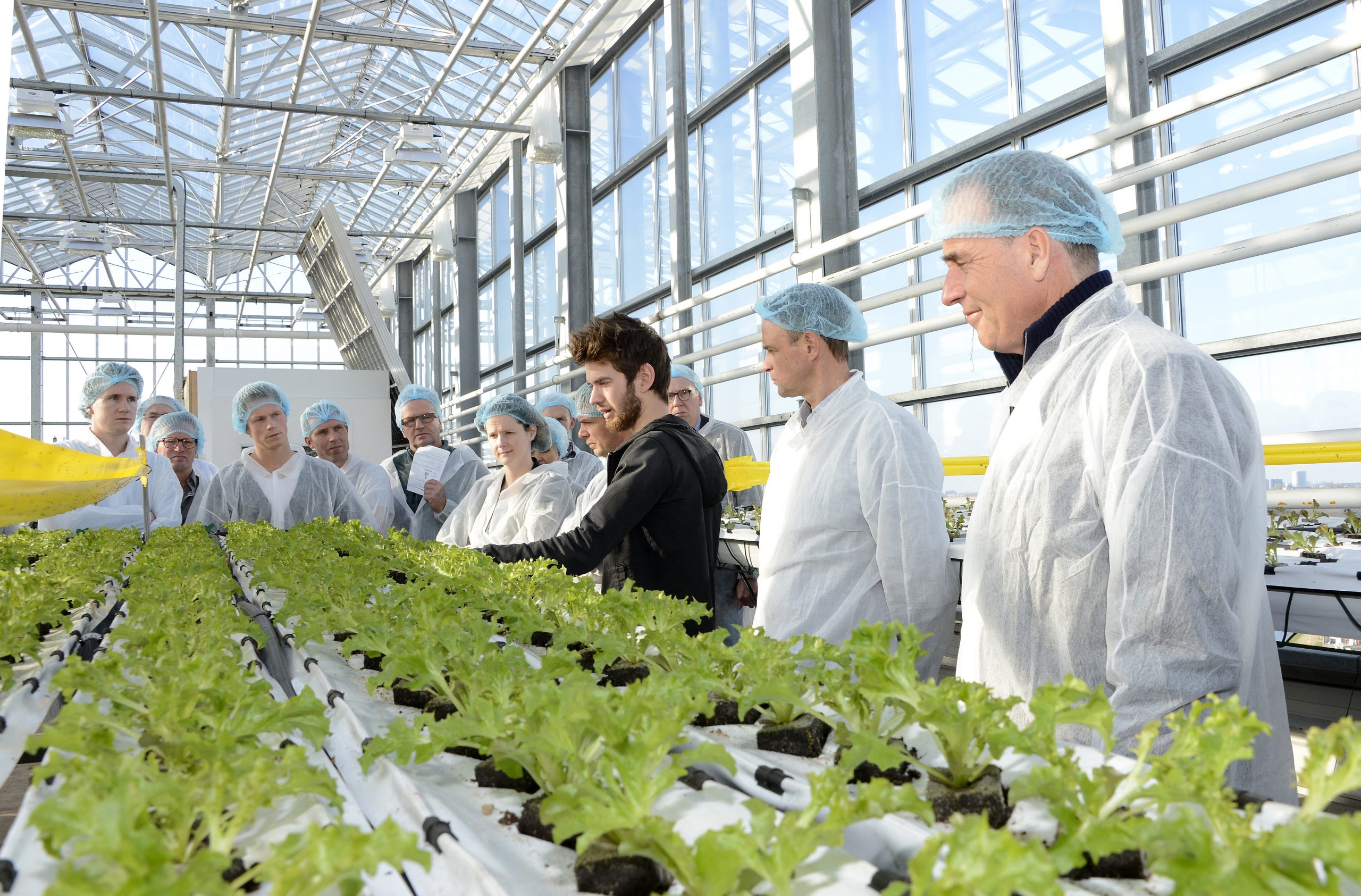 FlowerSciene-greenport-duin-en-bollenstreek