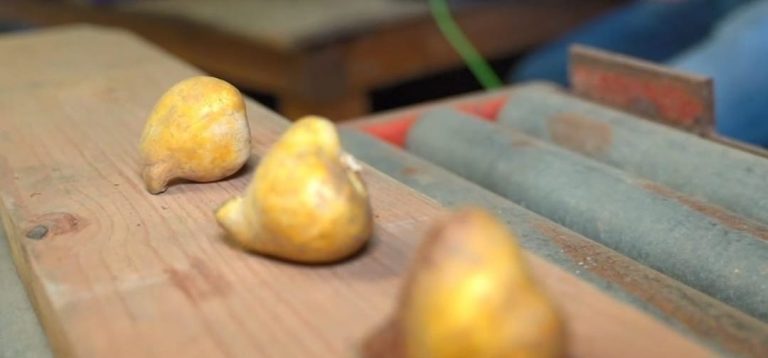 Bollenrevolutie-4.0-greenport-duin-en-bollenstreek