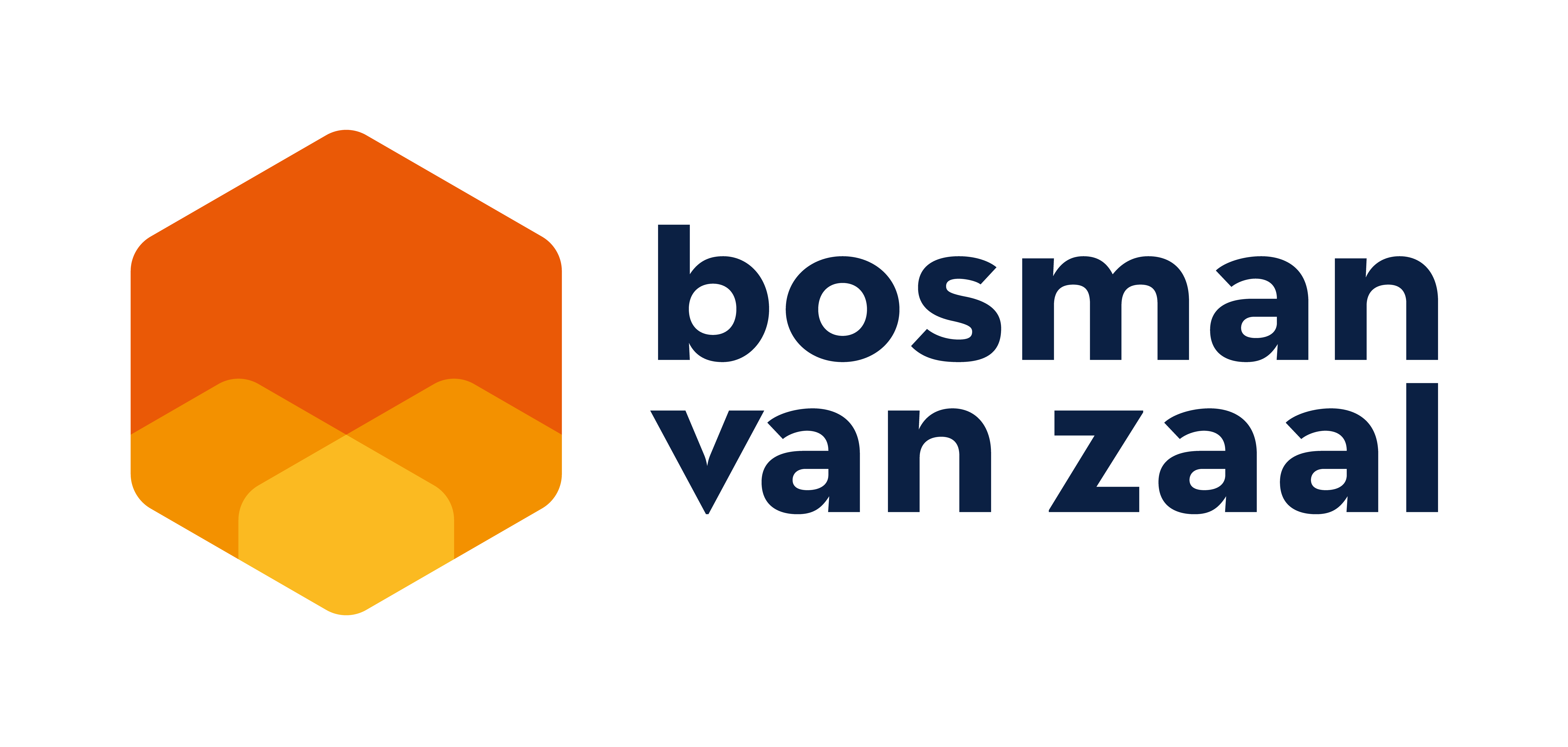 BVZ_Logo - PNG[1]