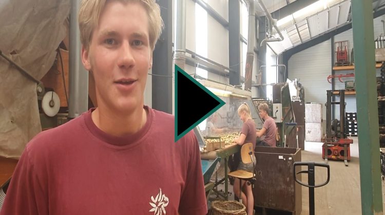 vlog-#uitjebloembol-greenport-stories