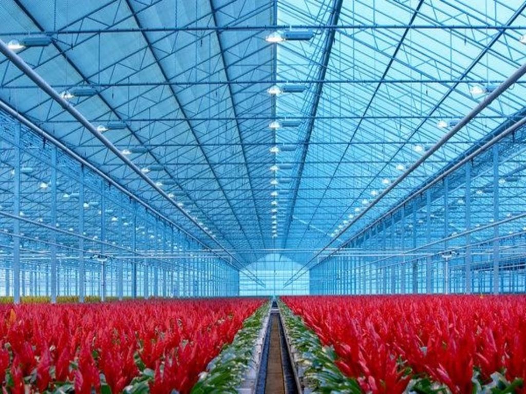 tuinbouwakkoord-greenports-nederland-greenport-duin-en-bollenstreek