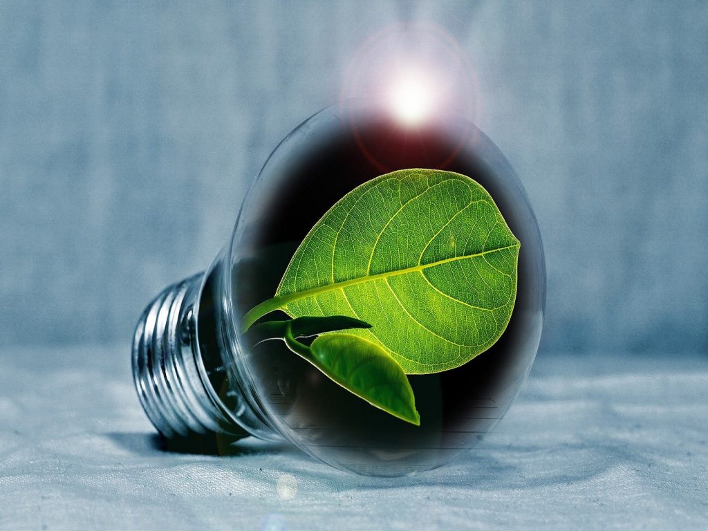 Innovatie-glastuinbouw-greenport-duin-en-bollenstreek