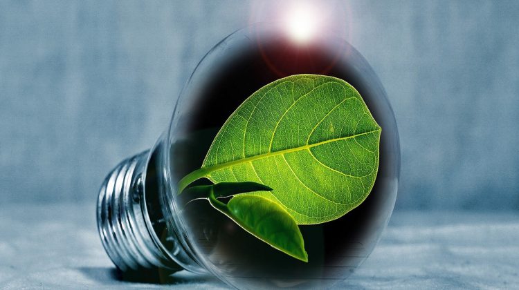 Innovatie-glastuinbouw-greenport-duin-en-bollenstreek