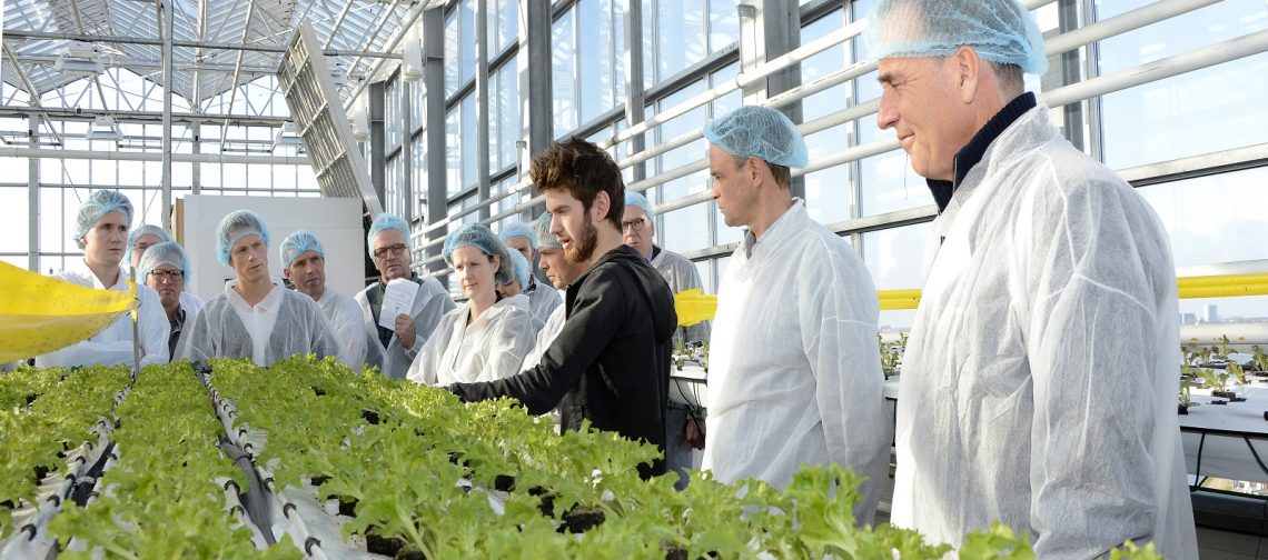 coachen-op-de-werkvloer-uitleg-greenport-duin-en-bollenstreek