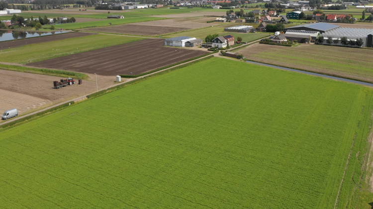nieuwsbrief-greenport-duin-en-bollenstreek