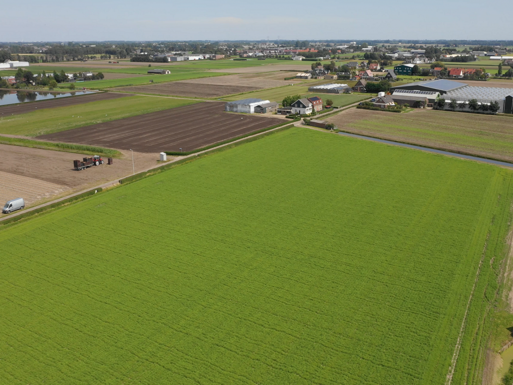 overview-land-Bollenjongens-greenport-duin-en-bollenstreek