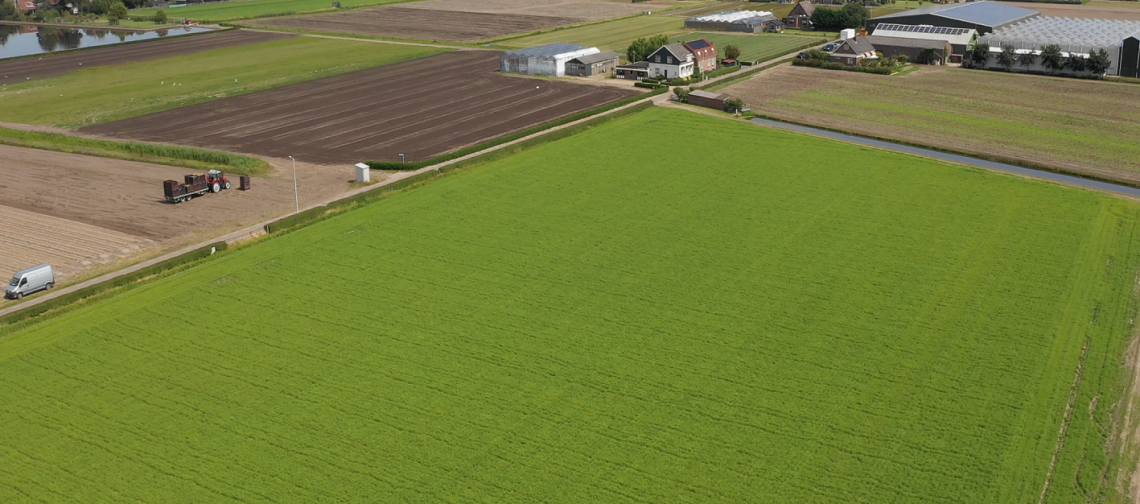 overview-land-Bollenjongens-greenport-duin-en-bollenstreek
