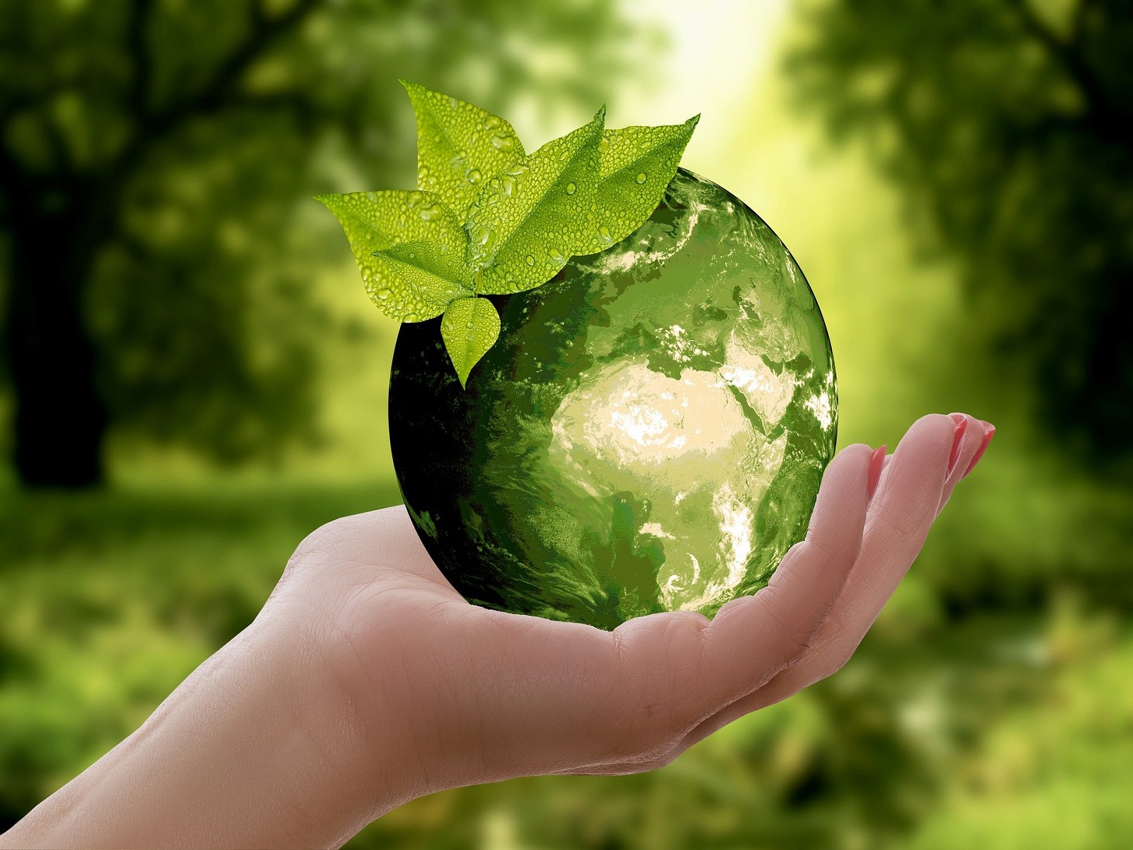 duurzaam-ondernemen-greenport-duin-en-bollenstreek
