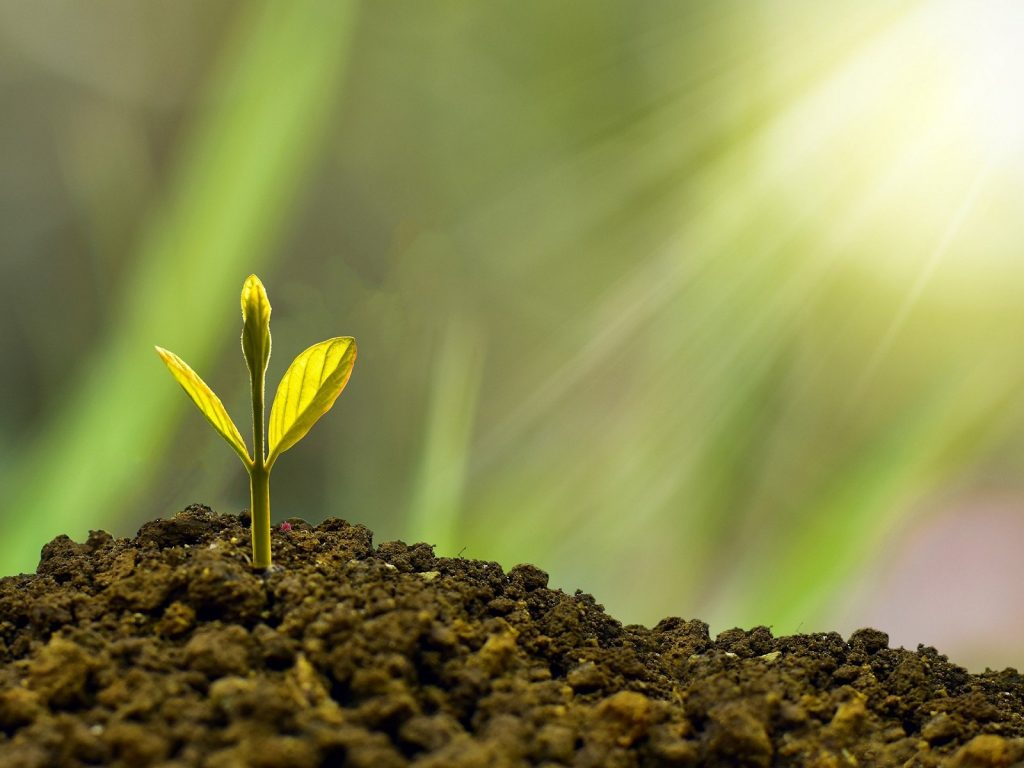 ondernemers-in-de-lead-keukenhof-bijeenkomst