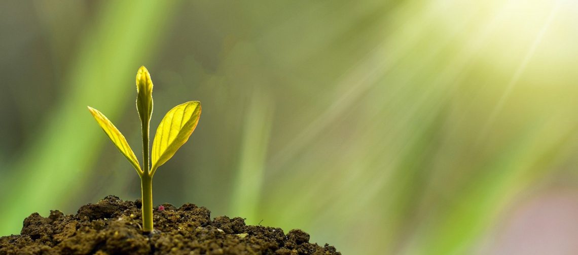 ondernemers-in-de-lead-keukenhof-bijeenkomst