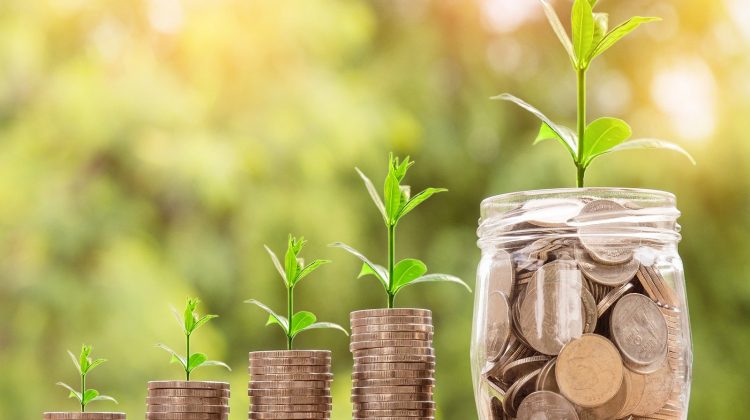 Investeringsfonds-Duurzame-Landbouw- (IDL)-greenport