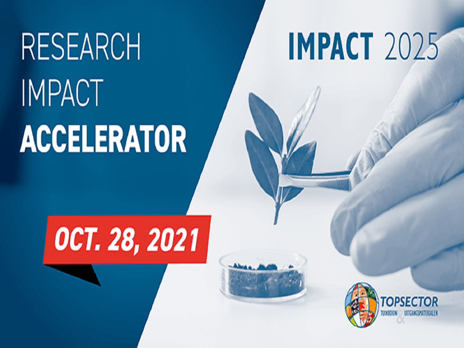 Research Impact Accelerator