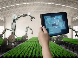 robotisering-tuinbouw-ondernemersprijs-greenport-duin-en-bollenstreek