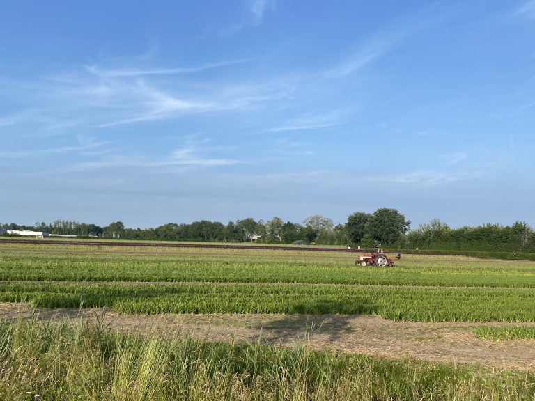 GreenportLIVE-bollenteelt-biodivers-en-circulair