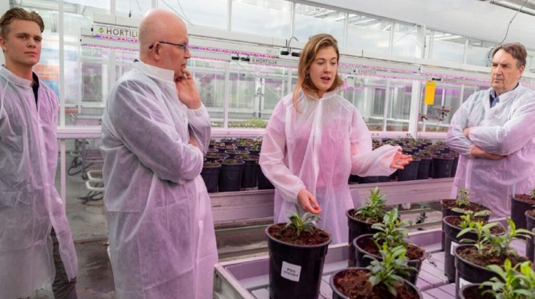 Minister-Staghouwer-op-bezoek-bij-de-Nederlandse-tuinbouw-