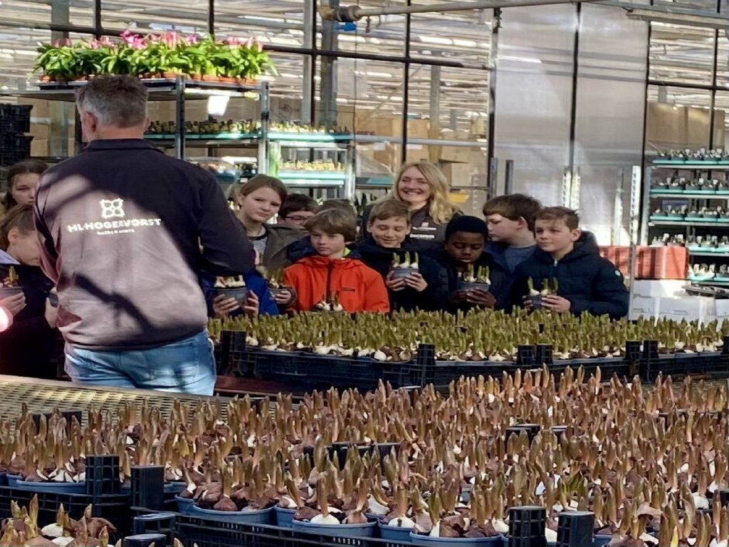 Basisschoolkinderen-op-excursie-bij-hyacintenkweker -greenport