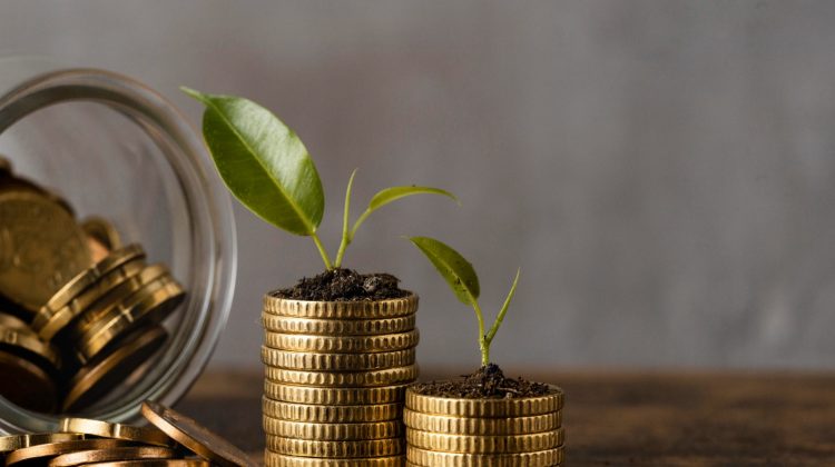 subsidie-provincie-zuid-holland-tweede-ronde-greenport