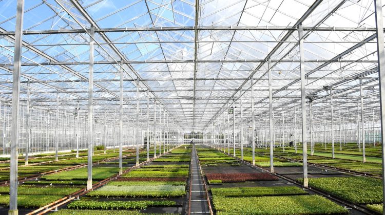 kas-verwarmen-gasprijzen-greenport