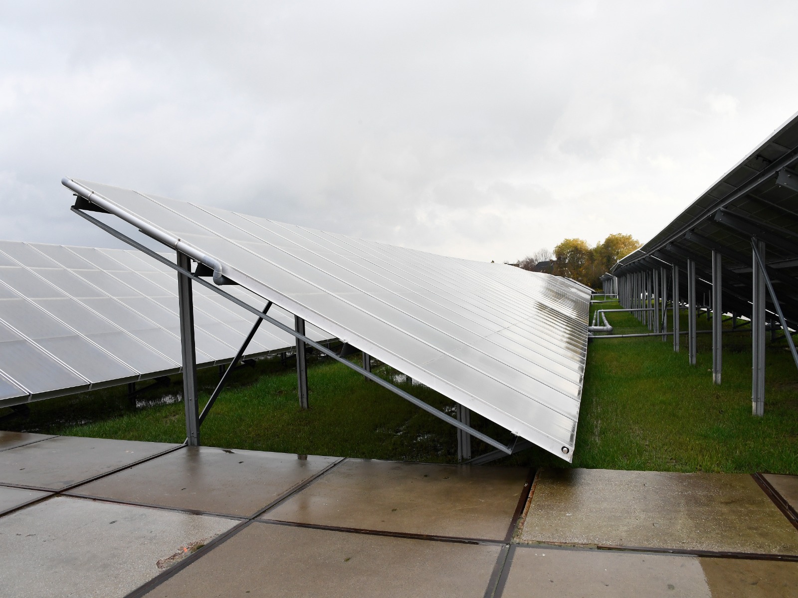 Loket-zakelijk-zuiniger-zonnepanelen-duurzamer-ondernemen-greenportdb