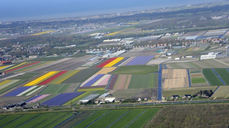 omgeving-duin-en-bollenstreek-omgevingsvisie-provincie-zuid-holland