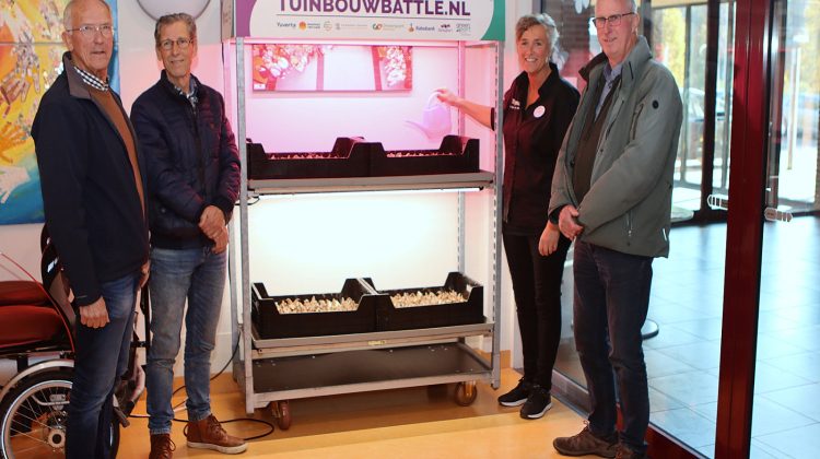 teeltkar-tulpen-munnekeweij-greenport-duin-en-bollenstreek