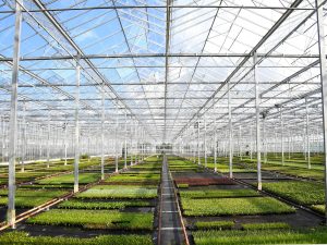 energie-besparen-kas-subsidie