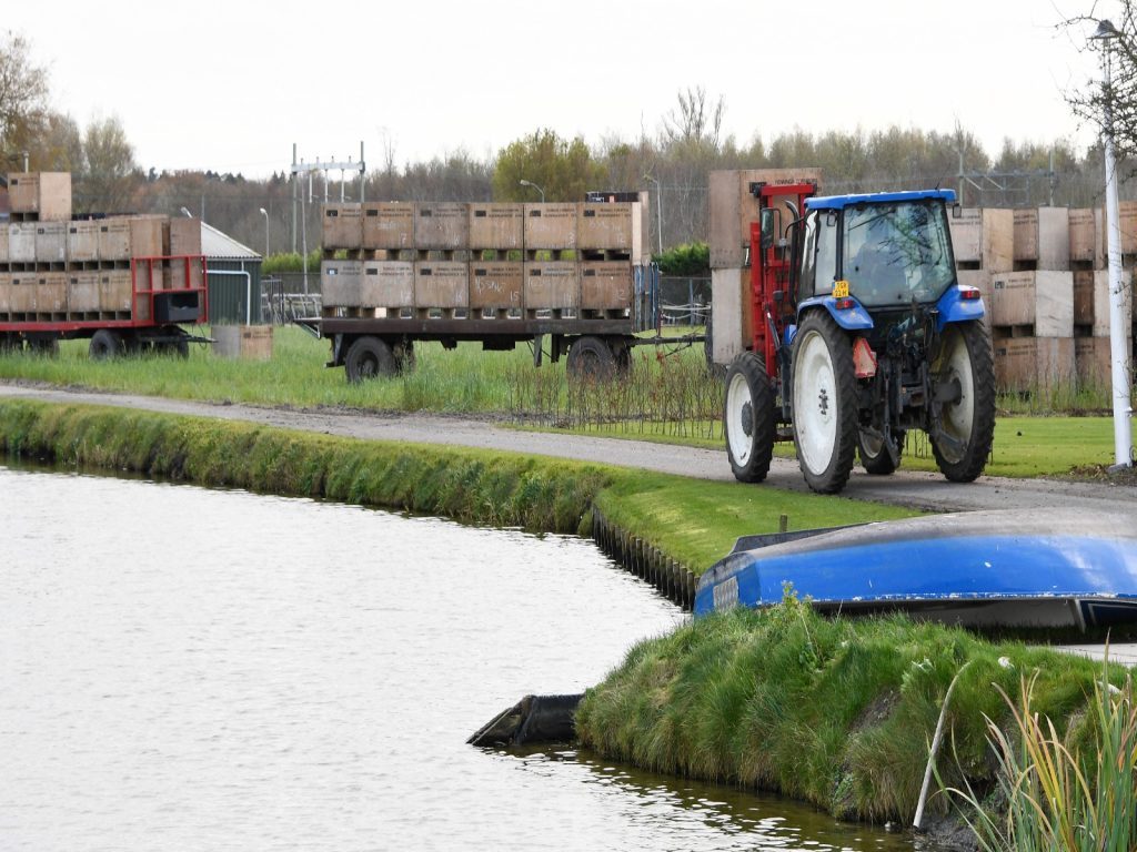 droogte-water-waterpeil-greenport-rijnland