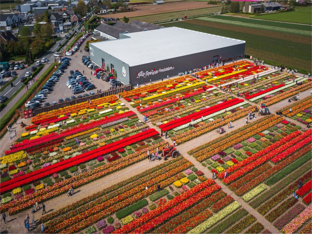 Dronefoto-Tulip-Experience-winnaar-best-hidden-gem-greenport