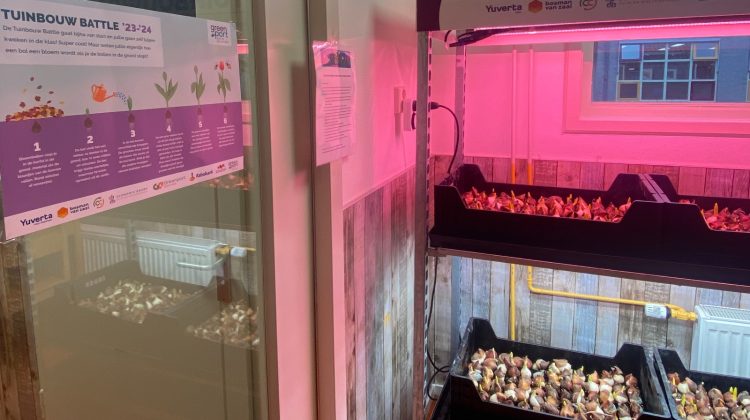 start-tuinbouw-battle-basisscholen-sierteelt-greenportdb