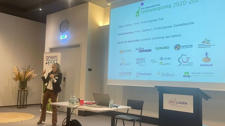 GreenportLIVE-PPS-Fundamentele-Systeemsprong-8-februari-2024