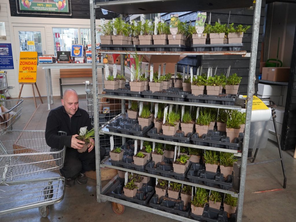 tegels-gratis-ruilen-voor-plantjes-greenport