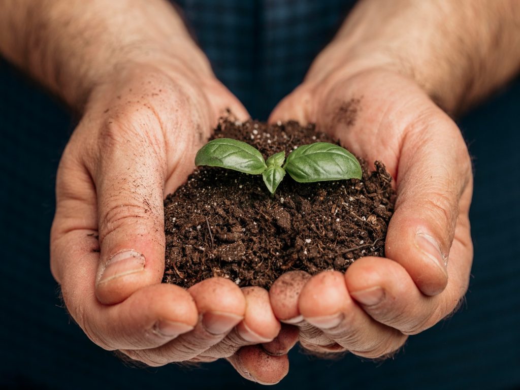 tuinbouw-sierteelt-klimaatverandering-innovatieve-oplossingen-greenport