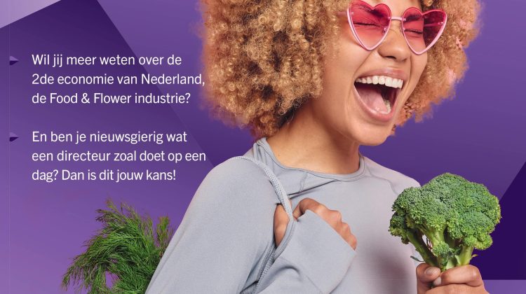 PosterDirecteur-voor-1-dag 2024