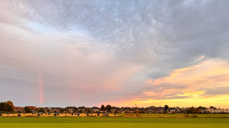 zonsondergang-voorhout-land-gezaaid