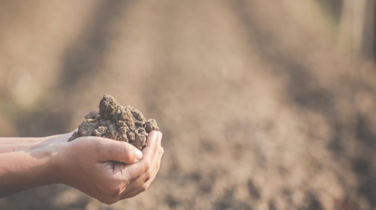 gezonde-bodem-bodemkwaliteit-klimaatverandering