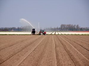 weerbaarheid-live-webinar