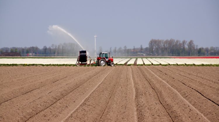 weerbaarheid-live-webinar