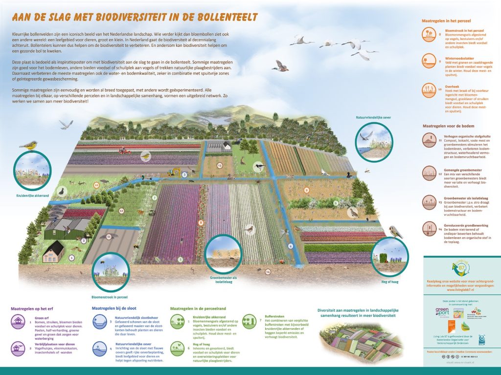 biodiversiteit-op-het-bollenbedrijf-greenport-living-lab