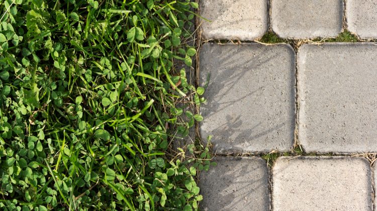 tegels-gratis-ruilen-voor-plantjes-greenport