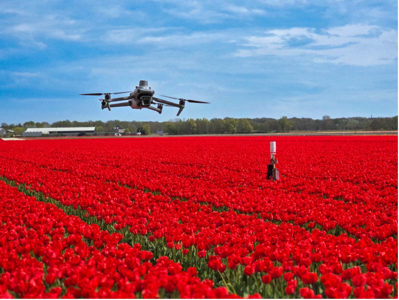Remote-Sensing-4-Floriculture-in het veld-drone-sensortechniek-greenport