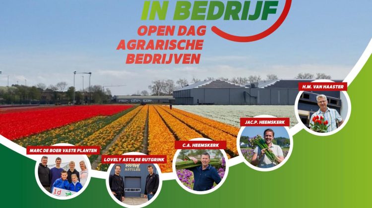 Bollenstreek-in-bedrijf-9-augstus-2025-greenport-hillegom