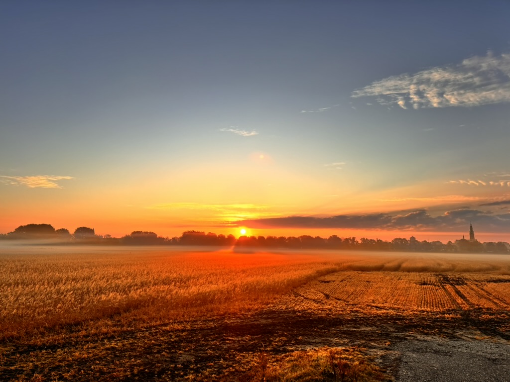 Najaar-greenport-duin-en-bollenstreek-lisse