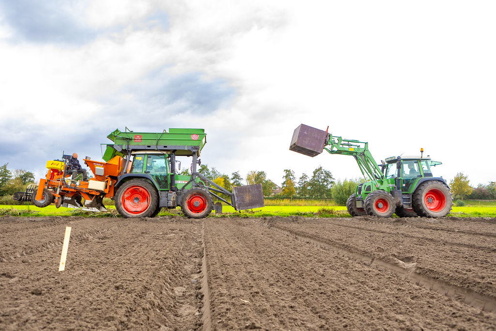 Greenport-WAM-Pennings-bollen-planten