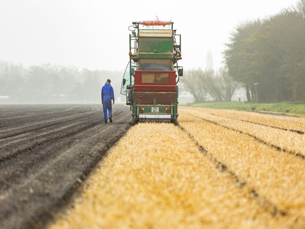 Greenport-stro-wam-duin-en-bollenstreek