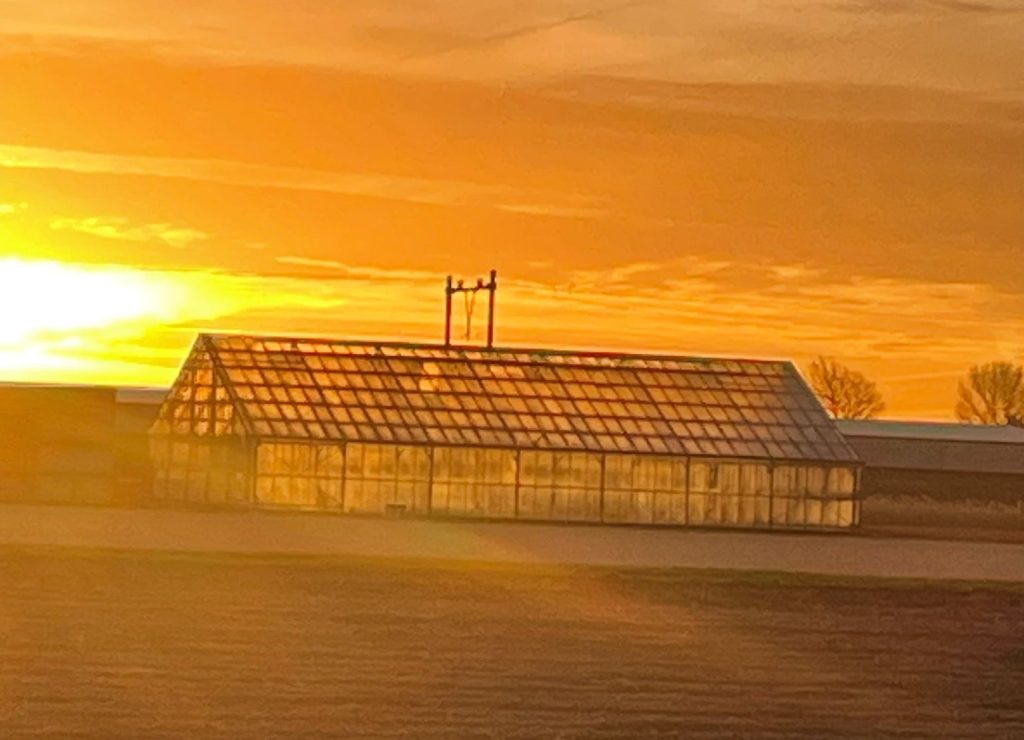 Golden-hour-greenport-duin-en-bollenstreek