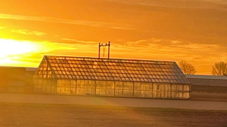 Golden-hour-greenport-duin-en-bollenstreek